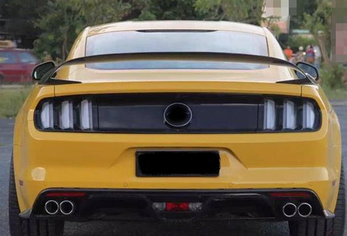 Aileron ( Becquet) carbone pour Ford Mustang 2015 +